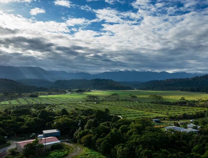 find farm job dairy nz westland milk products min