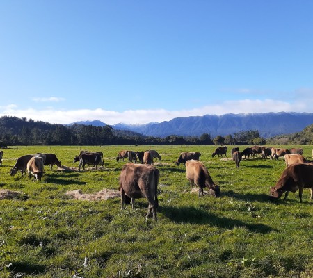 109467417 734721953766799 7386765236597113420 n