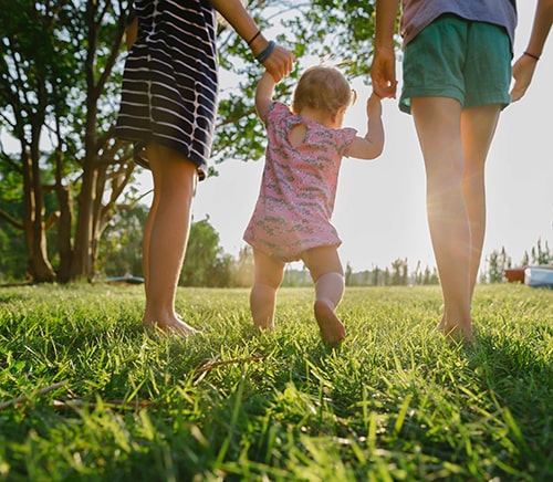 purpose nourishment made beautifully westand milk products nz dairy 