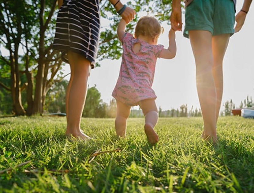 purpose nourishment made beautifully westand milk products nz dairy 