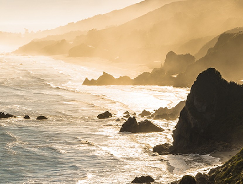 dramatic westland coastline Westland Milk Products NZ Dairy