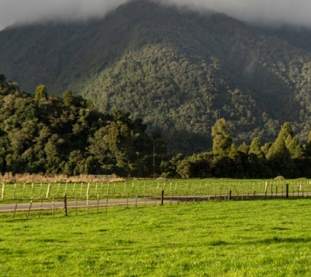 03.Thumbnail NZX Farmgate Milk Price Update