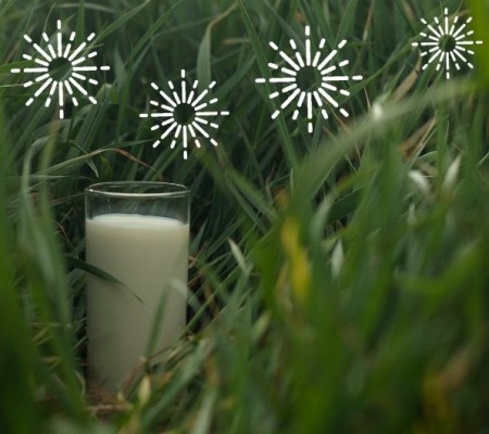 05.Thumbnail Milk Quality champions 3