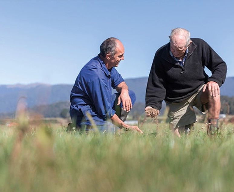 Westland Milk Products Dairy NZ our environment farmers in field min